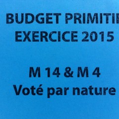 Conseil municipal du 29 janvier 2015