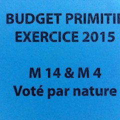 Conseil municipal du 29 janvier 2015