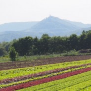 Conseil municipal du 26 mars 2015